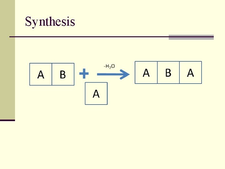 Synthesis 