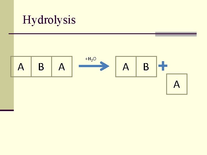 Hydrolysis A B A +H 2 O A B A 