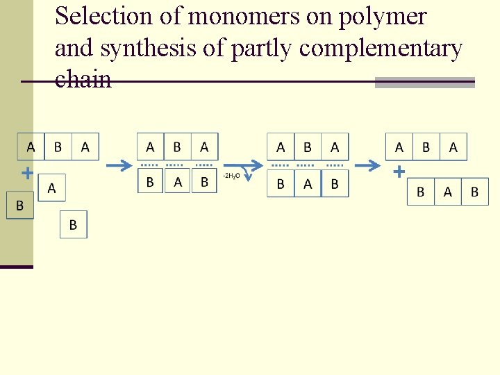 Selection of monomers on polymer and synthesis of partly complementary chain 