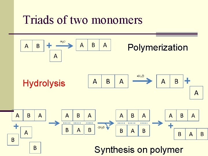 Triads of two monomers Polymerization Hydrolysis Synthesis on polymer 