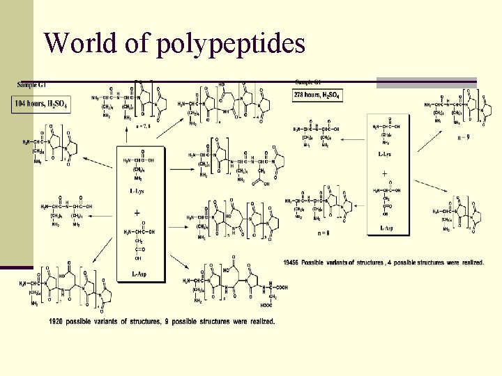 World of polypeptides 