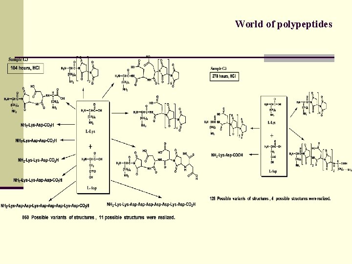World of polypeptides 
