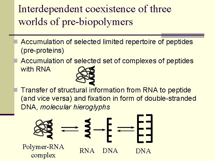 Interdependent coexistence of three worlds of pre-biopolymers n Accumulation of selected limited repertoire of
