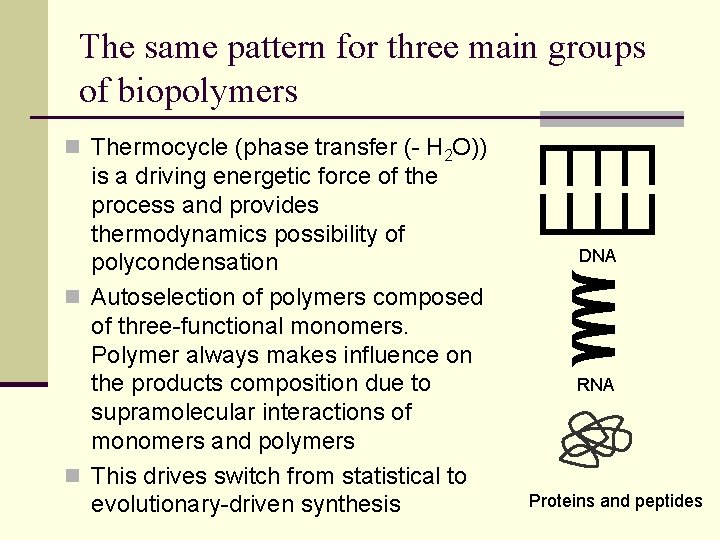 The same pattern for three main groups of biopolymers n Thermocycle (phase transfer (-