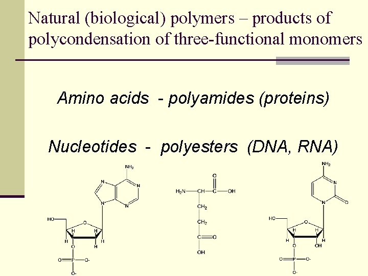 Natural (biological) polymers – products of polycondensation of three-functional monomers Amino acids - polyamides