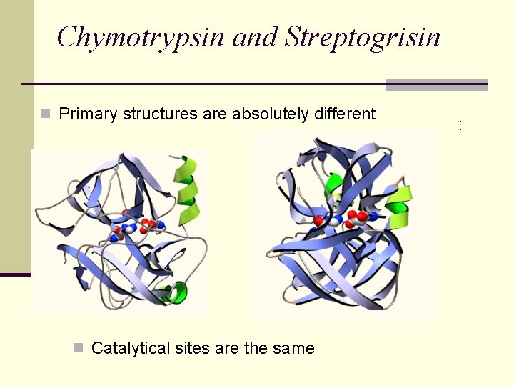 Chymotrypsin and Streptogrisin n Catalytical sites are the same : n Primary structures are