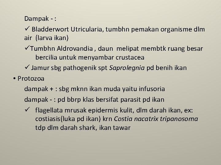 Dampak - : ü Bladderwort Utricularia, tumbhn pemakan organisme dlm air (larva ikan) üTumbhn Dampak - : ü Bladderwort Utricularia, tumbhn pemakan organisme dlm air (larva ikan) üTumbhn