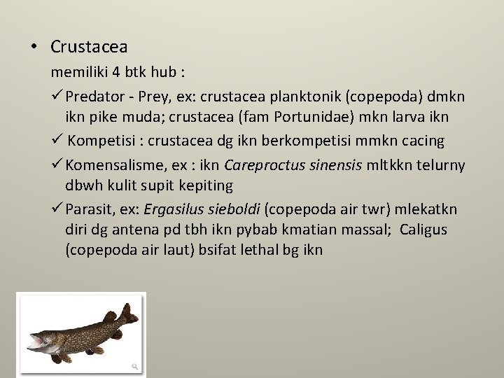  • Crustacea memiliki 4 btk hub : ü Predator - Prey, ex: crustacea