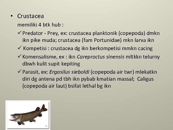 • Crustacea memiliki 4 btk hub : ü Predator - Prey, ex: crustacea • Crustacea memiliki 4 btk hub : ü Predator - Prey, ex: crustacea