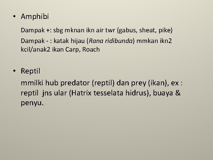  • Amphibi Dampak +: sbg mknan ikn air twr (gabus, sheat, pike) Dampak