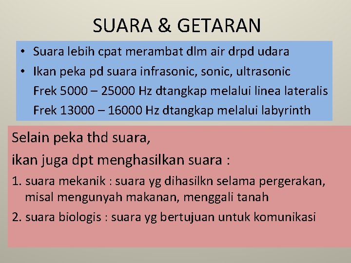 SUARA & GETARAN • Suara lebih cpat merambat dlm air drpd udara • Ikan