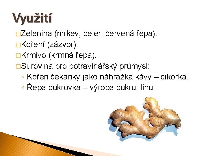 Využití � Zelenina (mrkev, celer, červená řepa). � Koření (zázvor). � Krmivo (krmná řepa).