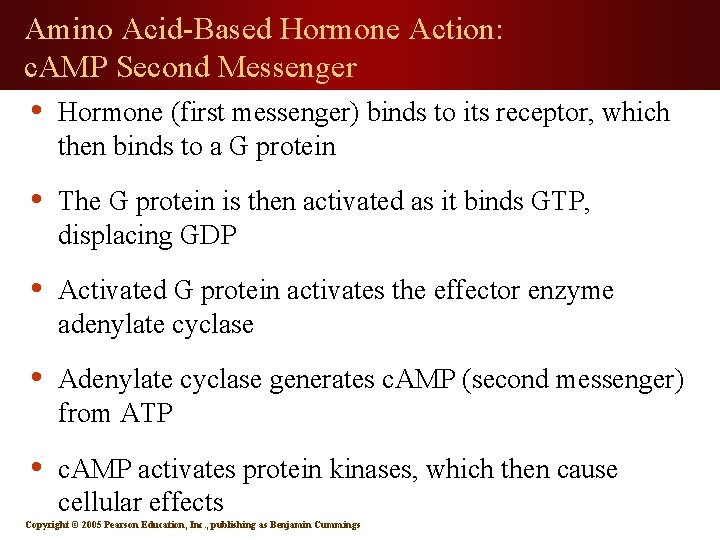Anatomy Physiology SECOND EDITION 15 Elaine N Marieb