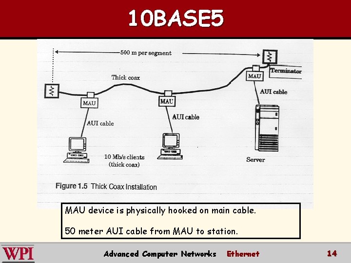 10 BASE 5 MAU device is physically hooked on main cable. 50 meter AUI