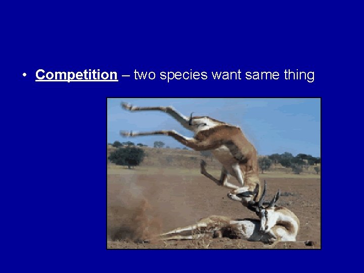  • Competition – two species want same thing 