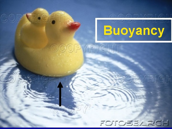 Buoyancy 