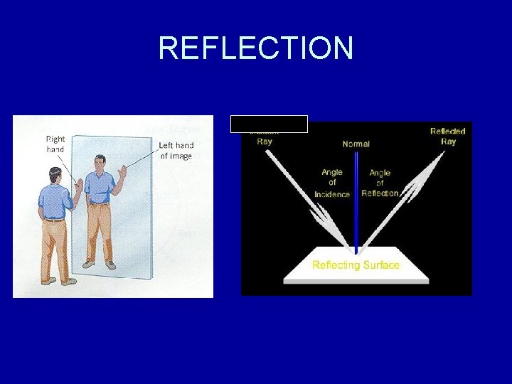 REFLECTION 
