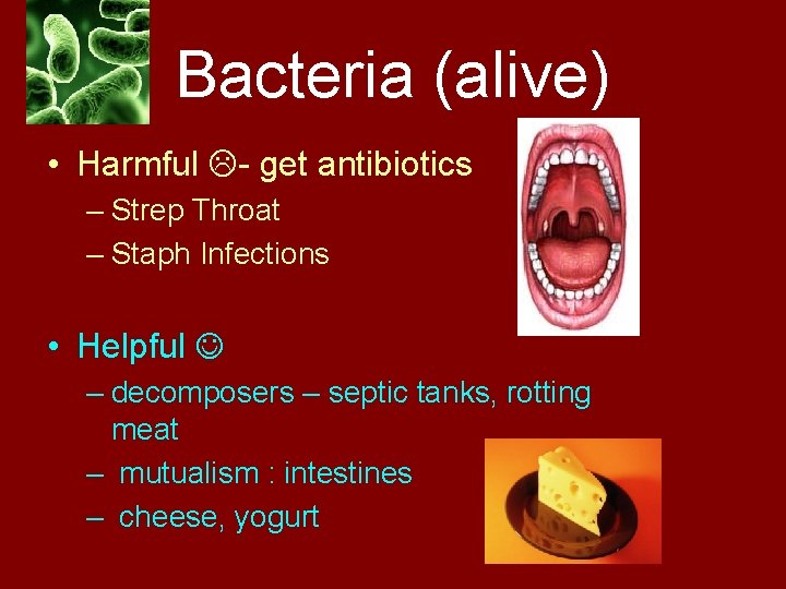 Bacteria (alive) • Harmful - get antibiotics – Strep Throat – Staph Infections •