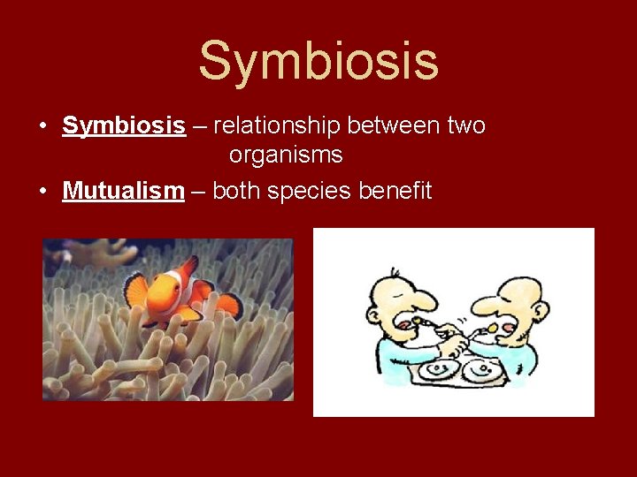 Symbiosis • Symbiosis – relationship between two organisms • Mutualism – both species benefit