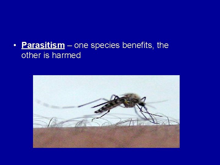  • Parasitism – one species benefits, the other is harmed 
