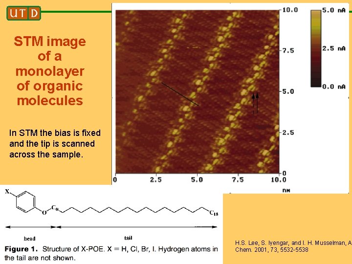 STM image of a monolayer of organic molecules In STM the bias is fixed
