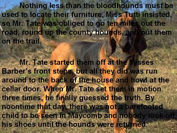 Nothing less than the bloodhounds must be used to locate their furniture, Miss Tutti