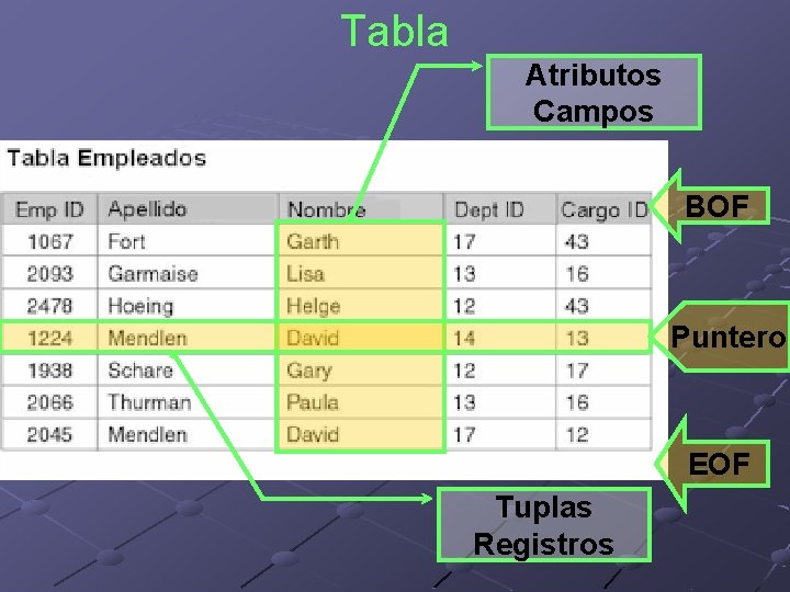 Tabla Atributos Campos BOF Puntero EOF Tuplas Registros 