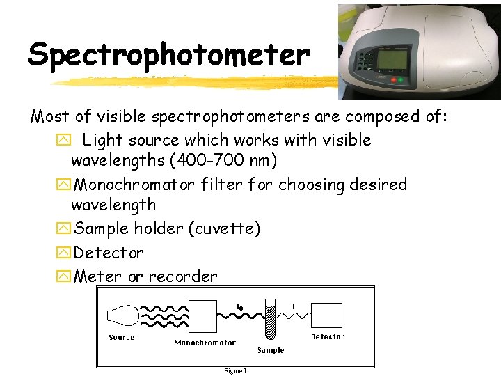 Spectrophotometer Most of visible spectrophotometers are composed of: y Light source which works with Spectrophotometer Most of visible spectrophotometers are composed of: y Light source which works with