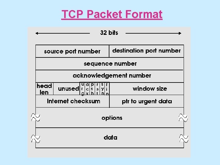 TCP Packet Format 