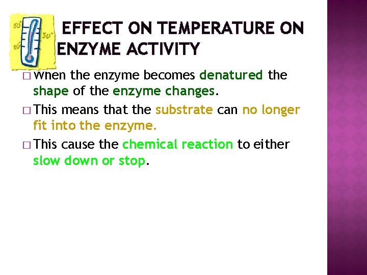 EFFECT ON TEMPERATURE ON ENZYME ACTIVITY � When the enzyme becomes denatured the shape