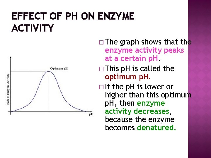 EFFECT OF PH ON ENZYME ACTIVITY � The graph shows that the enzyme activity