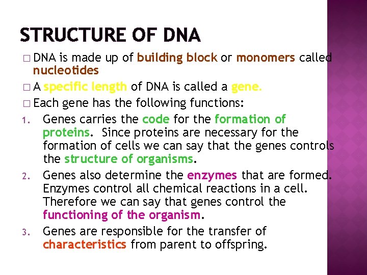 STRUCTURE OF DNA � DNA is made up of building block or monomers called
