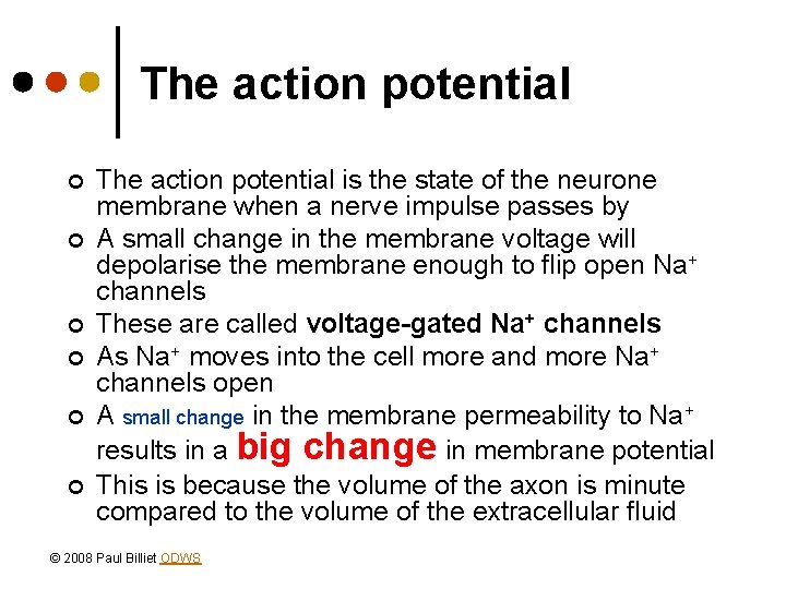 The action potential ¢ ¢ ¢ The action potential is the state of the