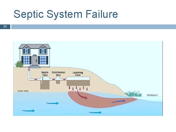 Septic System Failure 21 