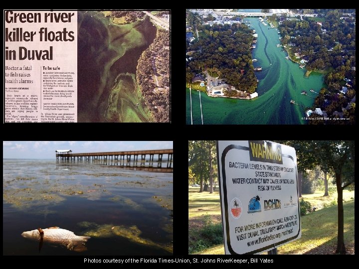 6 Photos courtesy of the Florida Times-Union, St. Johns River. Keeper, Bill Yates 