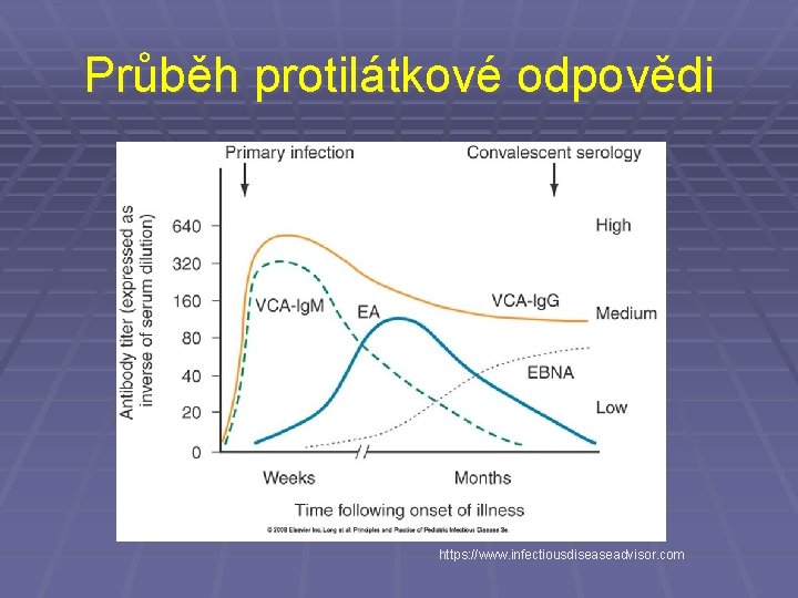 Průběh protilátkové odpovědi https: //www. infectiousdiseaseadvisor. com 