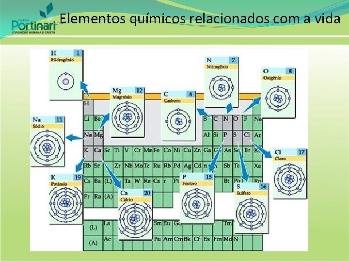 Elementos químicos relacionados com a vida 