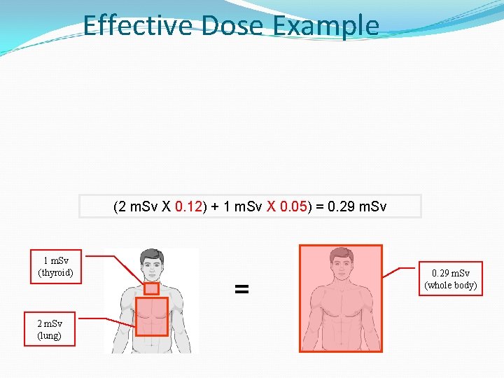Effective Dose Example (2 m. Sv X 0. 12) + 1 m. Sv X