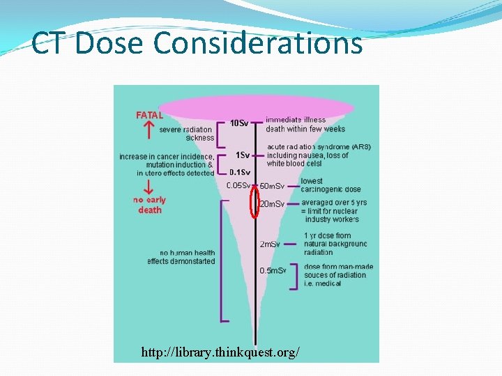 CT Dose Considerations http: //library. thinkquest. org/ 