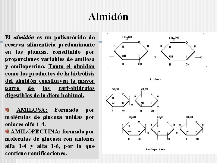 Almidón El almidón es un polisacárido de reserva alimenticia predominante en las plantas, constituido