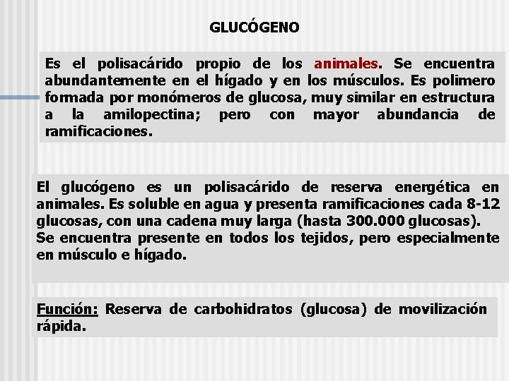 GLUCÓGENO Es el polisacárido propio de los animales. Se encuentra abundantemente en el hígado
