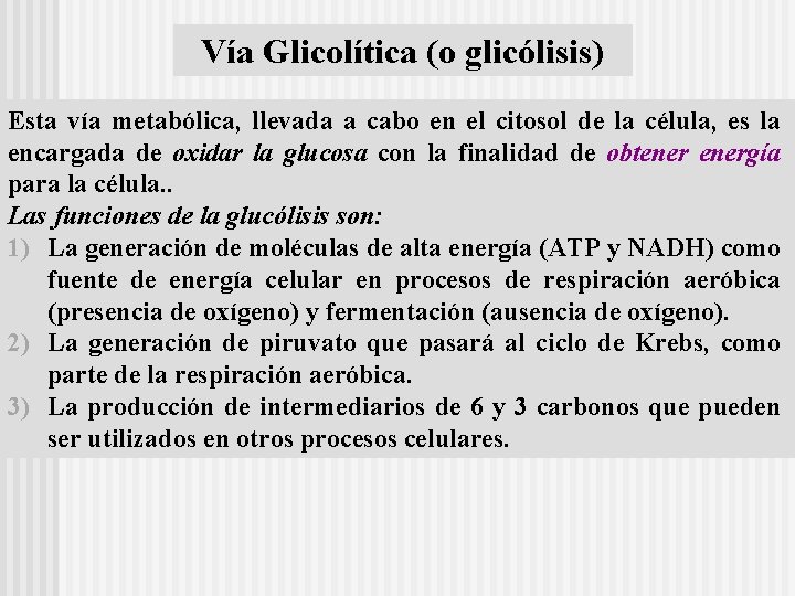 Vía Glicolítica (o glicólisis) Esta vía metabólica, llevada a cabo en el citosol de
