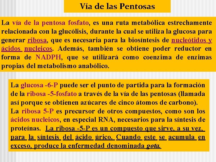 Vía de las Pentosas La vía de la pentosa fosfato, es una ruta metabólica