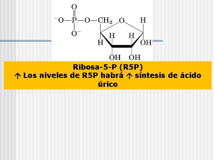 Ribosa-5 -P (R 5 P) Los niveles de R 5 P habrá síntesis de
