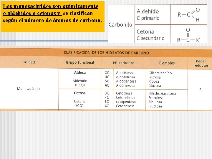 Los monosacáridos son químicamente o aldehídos o cetonas y se clasifican según el número