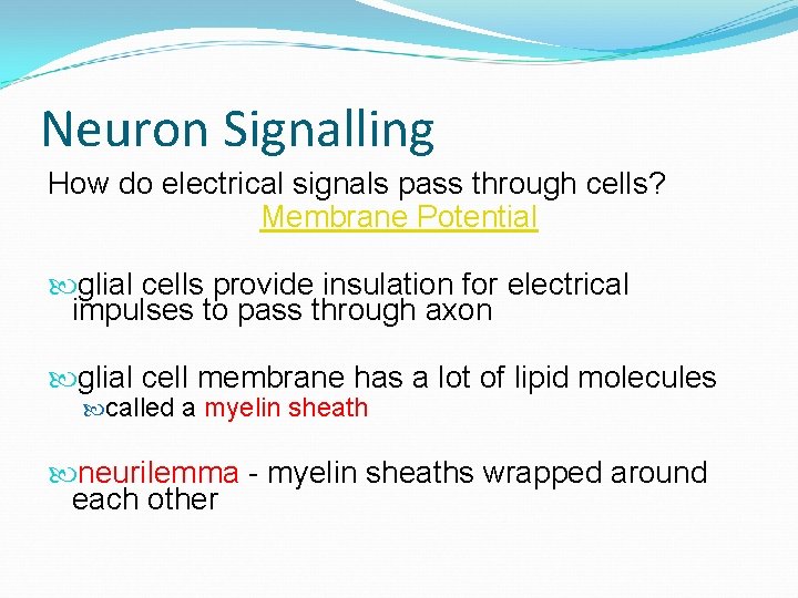 Neuron Signalling How do electrical signals pass through cells? Membrane Potential glial cells provide