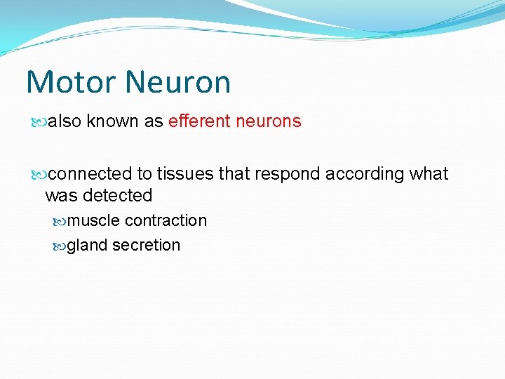 Motor Neuron also known as efferent neurons connected to tissues that respond according what