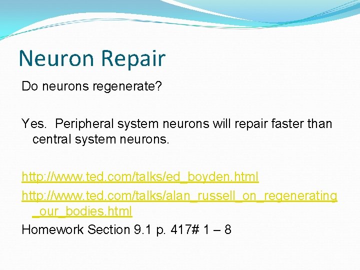 Neuron Repair Do neurons regenerate? Yes. Peripheral system neurons will repair faster than central
