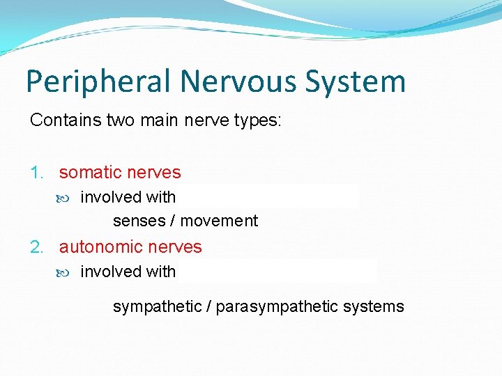 Peripheral Nervous System Contains two main nerve types: 1. somatic nerves involved with voluntary