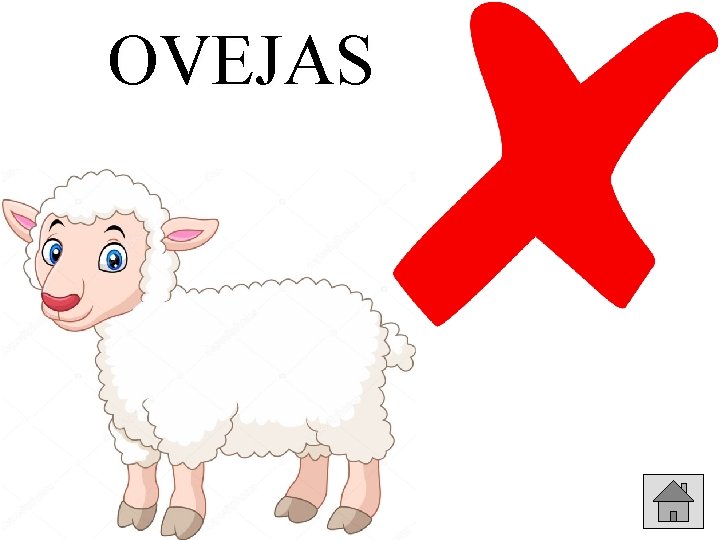 OVEJAS 